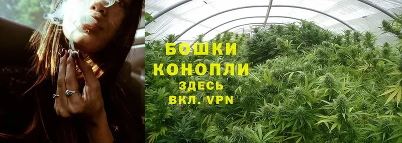 наркотики  Верхотурье  Каннабис Bruce Banner 